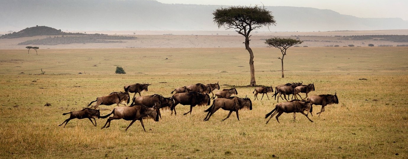 Serengeti National Park